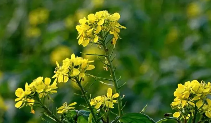 20180320132640_49603 20180320132640_49603