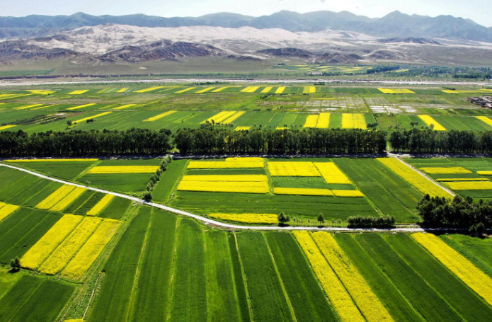 微信截圖_20230322171721