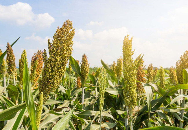 微信圖片_2026-02-26_164750_678