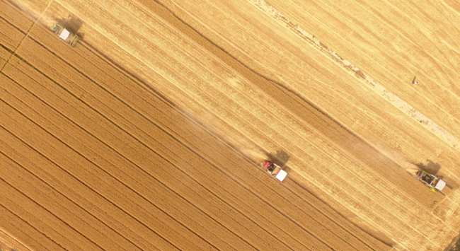 微信圖片_2026-02-26_175102_659